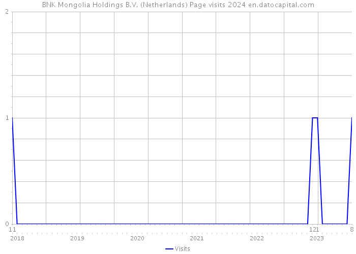 BNK Mongolia Holdings B.V. (Netherlands) Page visits 2024 