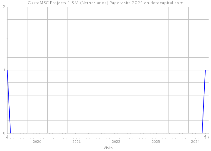 GustoMSC Projects 1 B.V. (Netherlands) Page visits 2024 