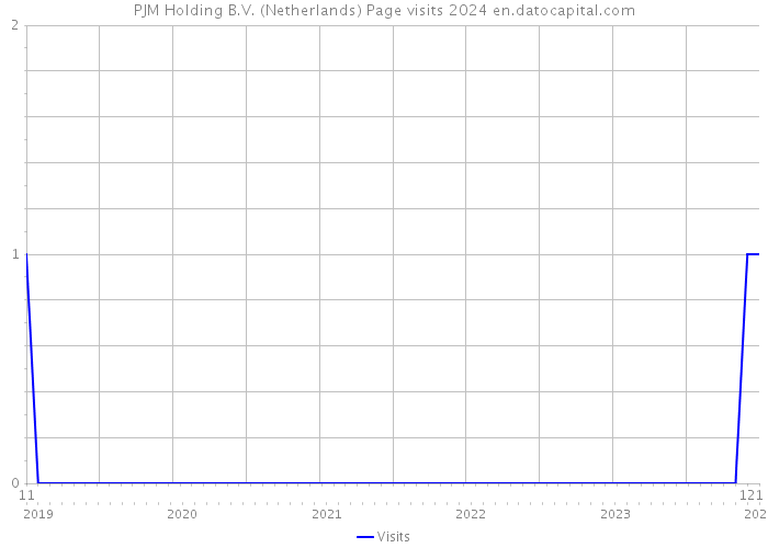 PJM Holding B.V. (Netherlands) Page visits 2024 