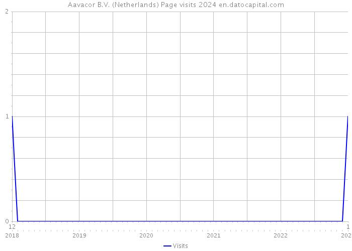 Aavacor B.V. (Netherlands) Page visits 2024 