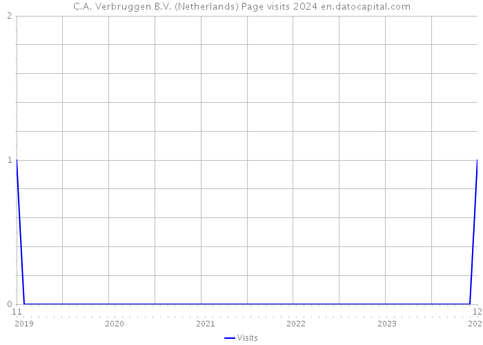 C.A. Verbruggen B.V. (Netherlands) Page visits 2024 