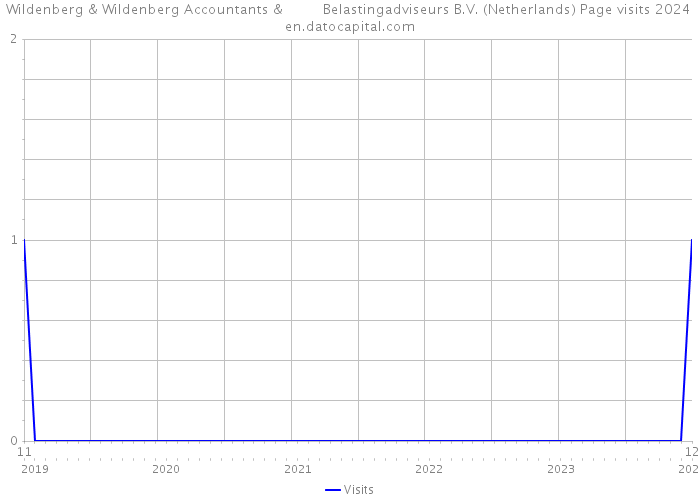 Wildenberg & Wildenberg Accountants & Belastingadviseurs B.V. (Netherlands) Page visits 2024 