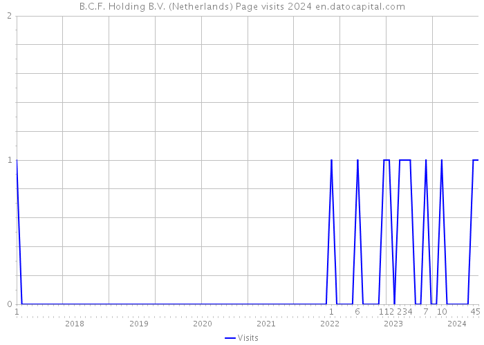 B.C.F. Holding B.V. (Netherlands) Page visits 2024 