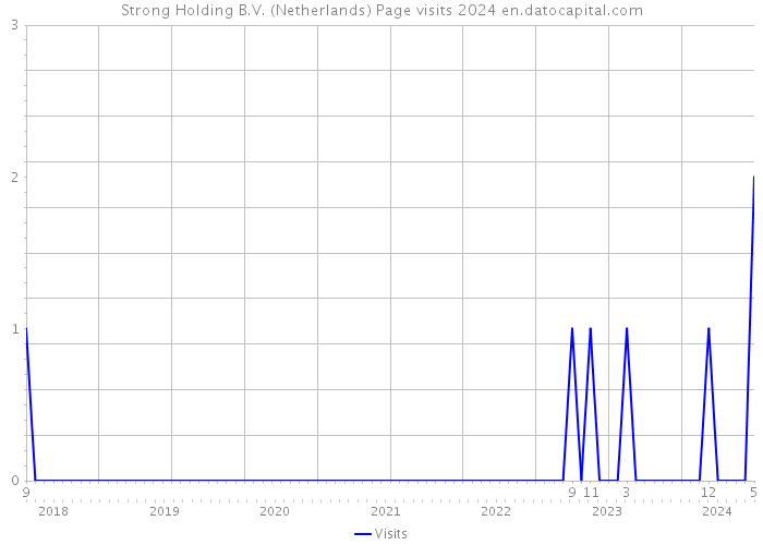 Strong Holding B.V. (Netherlands) Page visits 2024 