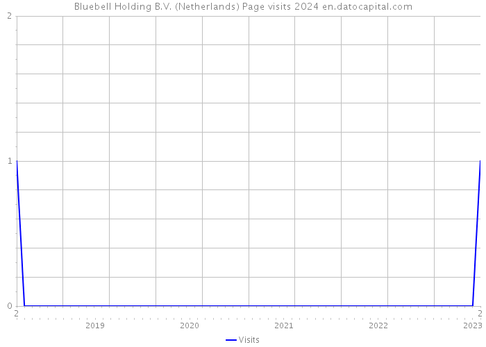 Bluebell Holding B.V. (Netherlands) Page visits 2024 