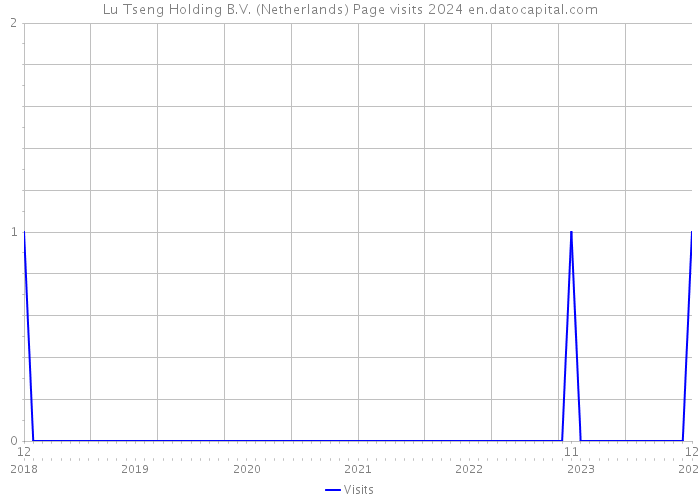 Lu Tseng Holding B.V. (Netherlands) Page visits 2024 
