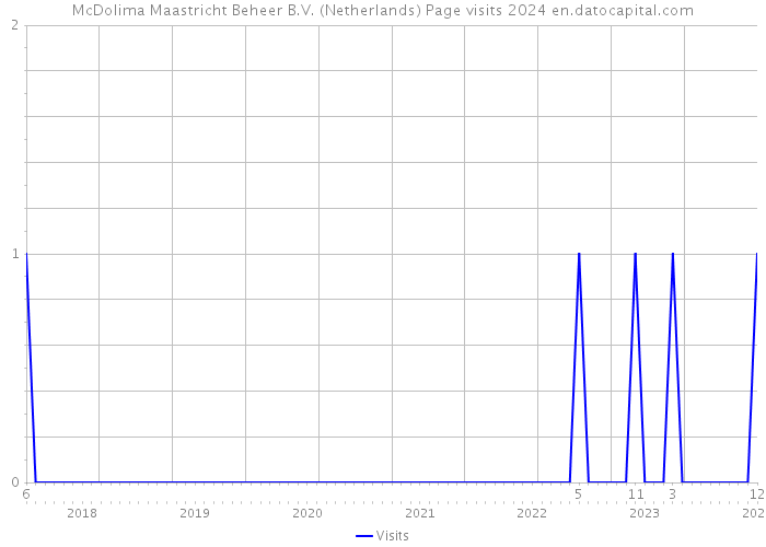 McDolima Maastricht Beheer B.V. (Netherlands) Page visits 2024 