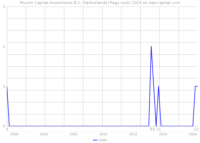 Moulin Capital Investments B.V. (Netherlands) Page visits 2024 