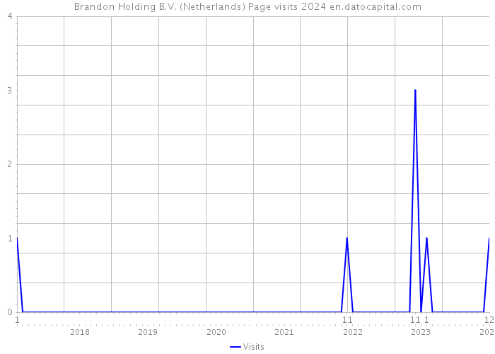 Brandon Holding B.V. (Netherlands) Page visits 2024 