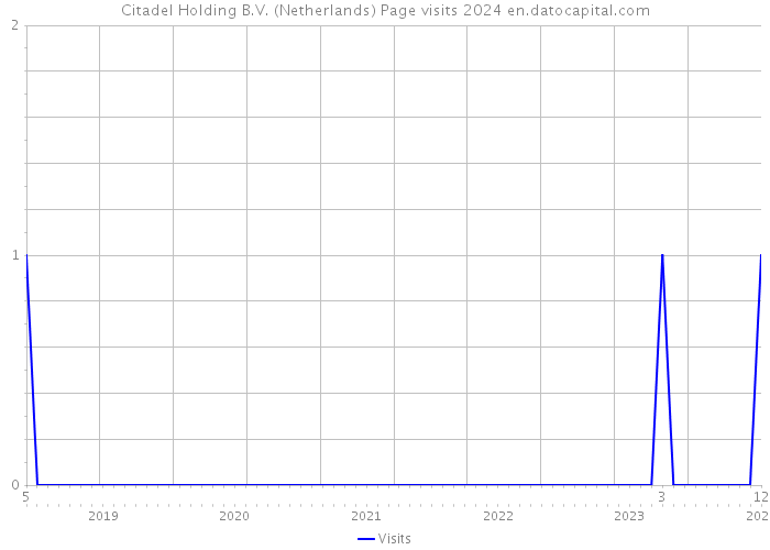 Citadel Holding B.V. (Netherlands) Page visits 2024 