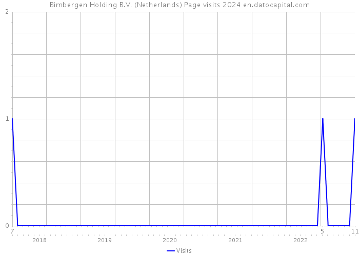 Bimbergen Holding B.V. (Netherlands) Page visits 2024 