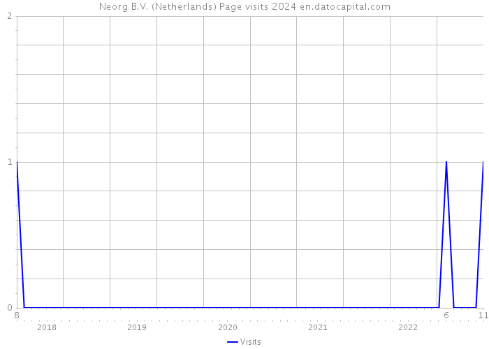Neorg B.V. (Netherlands) Page visits 2024 