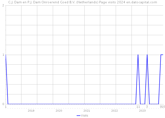 C.J. Dam en P.J. Dam Onroerend Goed B.V. (Netherlands) Page visits 2024 