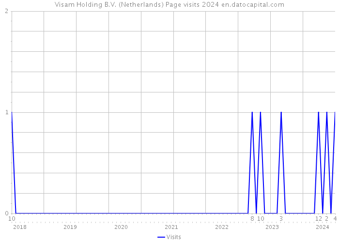 Visam Holding B.V. (Netherlands) Page visits 2024 