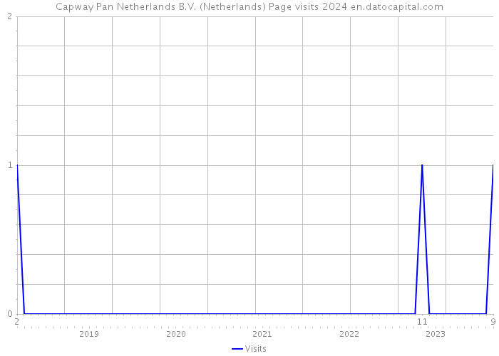 Capway Pan Netherlands B.V. (Netherlands) Page visits 2024 