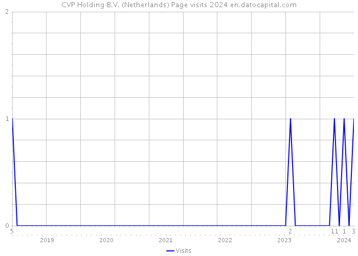 CVP Holding B.V. (Netherlands) Page visits 2024 