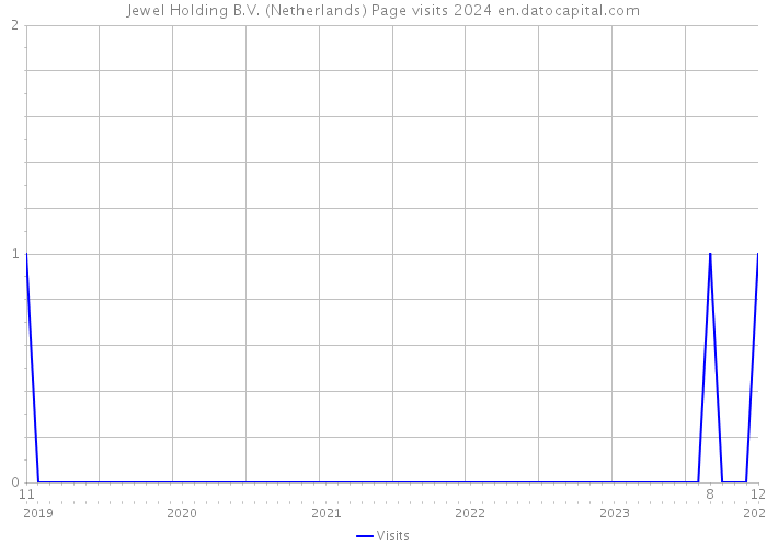 Jewel Holding B.V. (Netherlands) Page visits 2024 