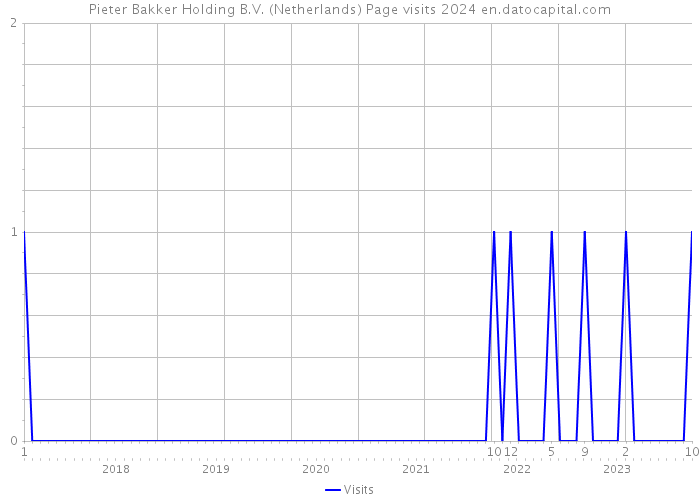 Pieter Bakker Holding B.V. (Netherlands) Page visits 2024 