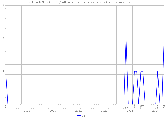 BRU 14 BRU 24 B.V. (Netherlands) Page visits 2024 