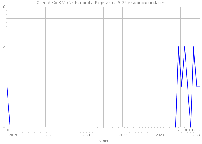 Giant & Co B.V. (Netherlands) Page visits 2024 