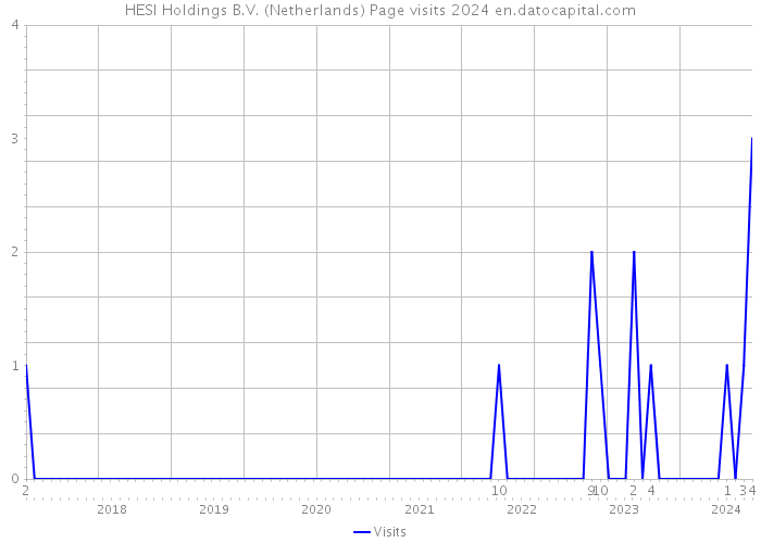 HESI Holdings B.V. (Netherlands) Page visits 2024 