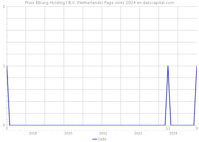 Pruis Elburg Holding I B.V. (Netherlands) Page visits 2024 