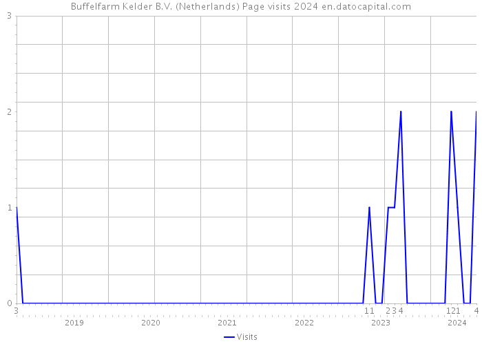 Buffelfarm Kelder B.V. (Netherlands) Page visits 2024 