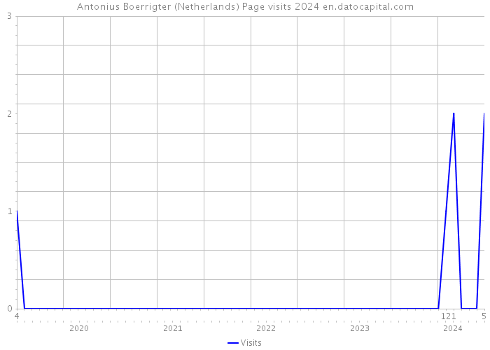 Antonius Boerrigter (Netherlands) Page visits 2024 