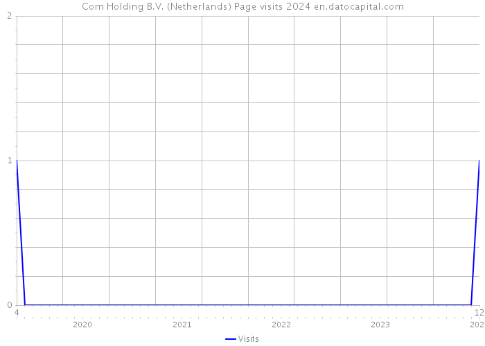 Com Holding B.V. (Netherlands) Page visits 2024 
