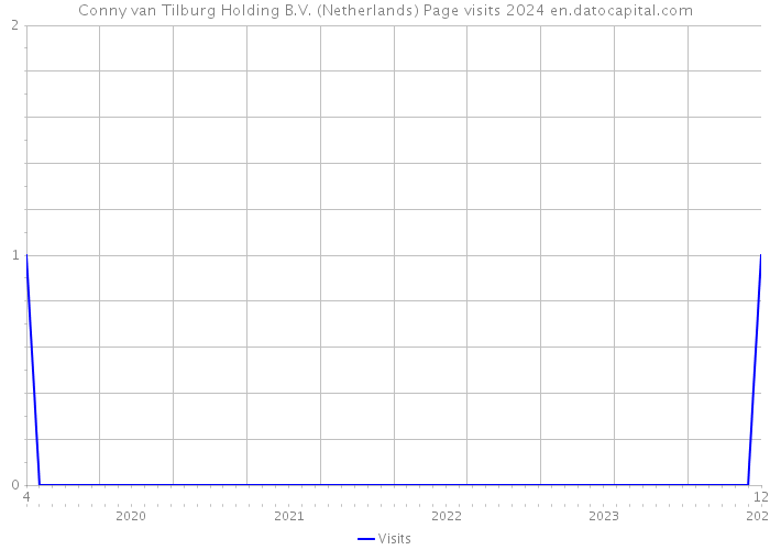 Conny van Tilburg Holding B.V. (Netherlands) Page visits 2024 