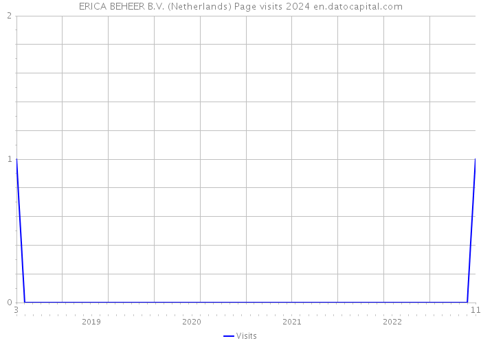 ERICA BEHEER B.V. (Netherlands) Page visits 2024 