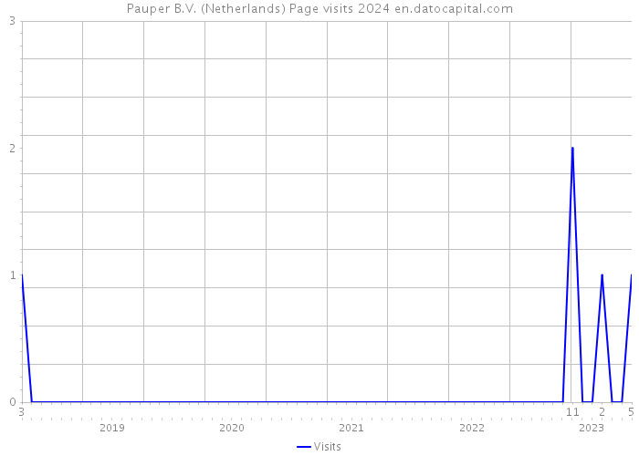 Pauper B.V. (Netherlands) Page visits 2024 