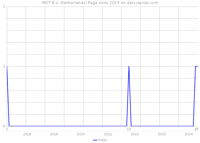 WGT B.V. (Netherlands) Page visits 2024 
