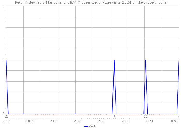 Peter Aldewereld Management B.V. (Netherlands) Page visits 2024 