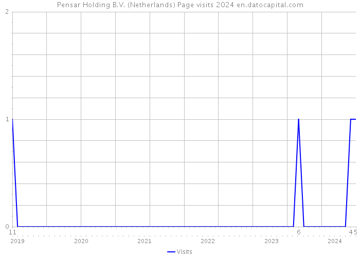 Pensar Holding B.V. (Netherlands) Page visits 2024 