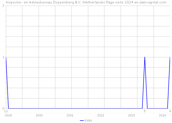 Inspectie- en Adviesbureau Doppenberg B.V. (Netherlands) Page visits 2024 