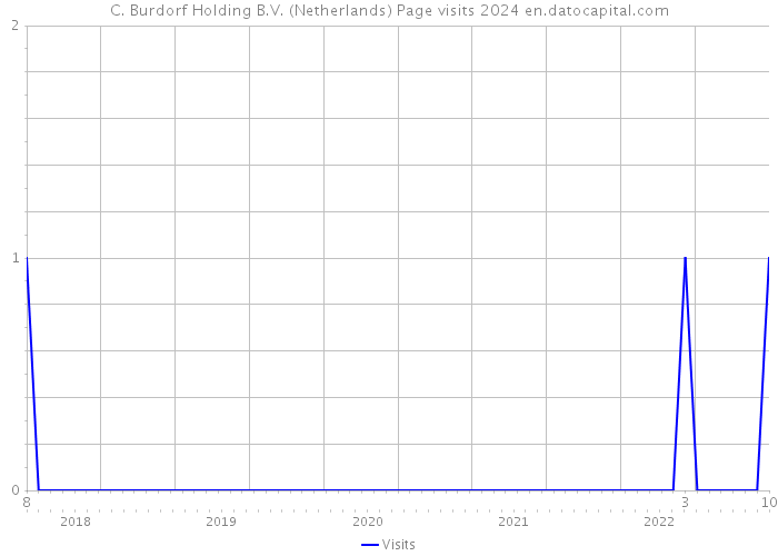C. Burdorf Holding B.V. (Netherlands) Page visits 2024 