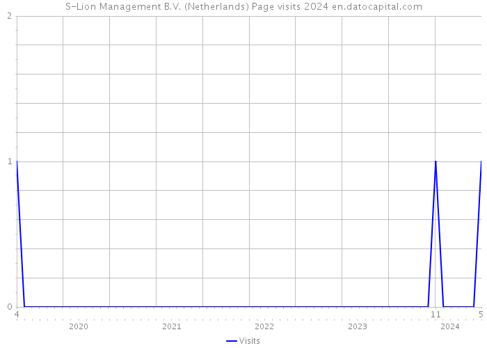 S-Lion Management B.V. (Netherlands) Page visits 2024 