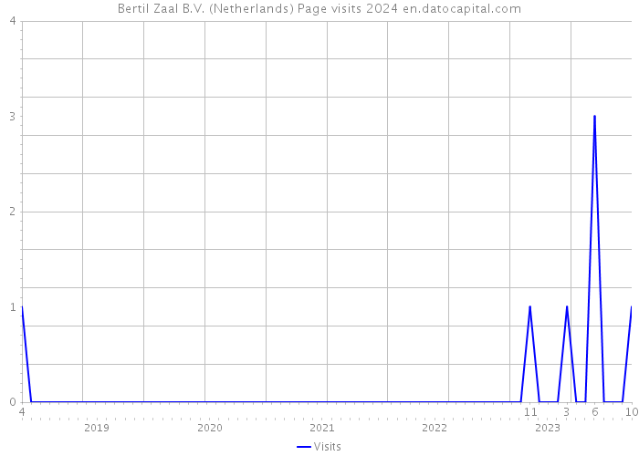 Bertil Zaal B.V. (Netherlands) Page visits 2024 