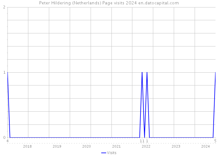 Peter Hildering (Netherlands) Page visits 2024 