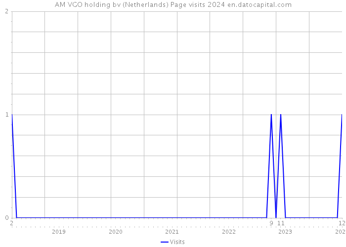 AM VGO holding bv (Netherlands) Page visits 2024 