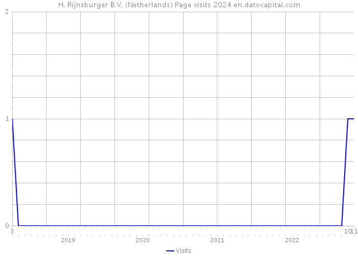 H. Rijnsburger B.V. (Netherlands) Page visits 2024 