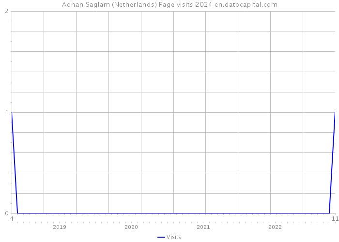 Adnan Saglam (Netherlands) Page visits 2024 