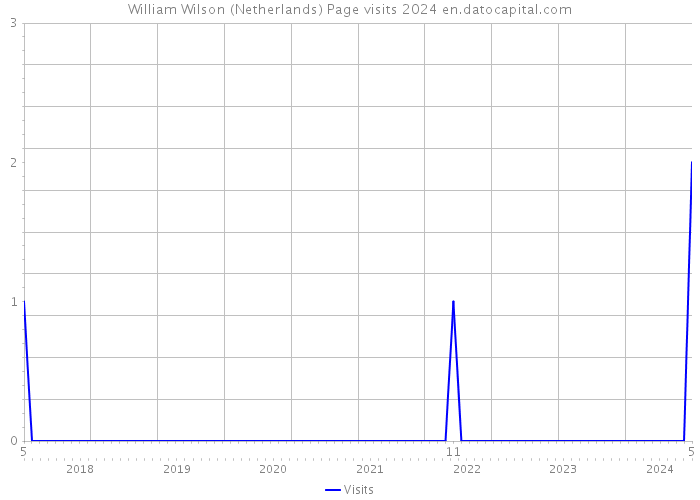William Wilson (Netherlands) Page visits 2024 