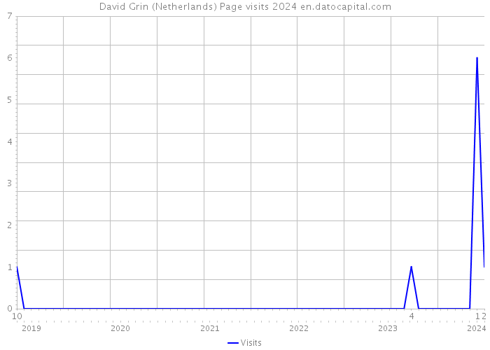 David Grin (Netherlands) Page visits 2024 