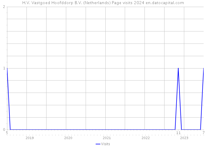 H.V. Vastgoed Hoofddorp B.V. (Netherlands) Page visits 2024 