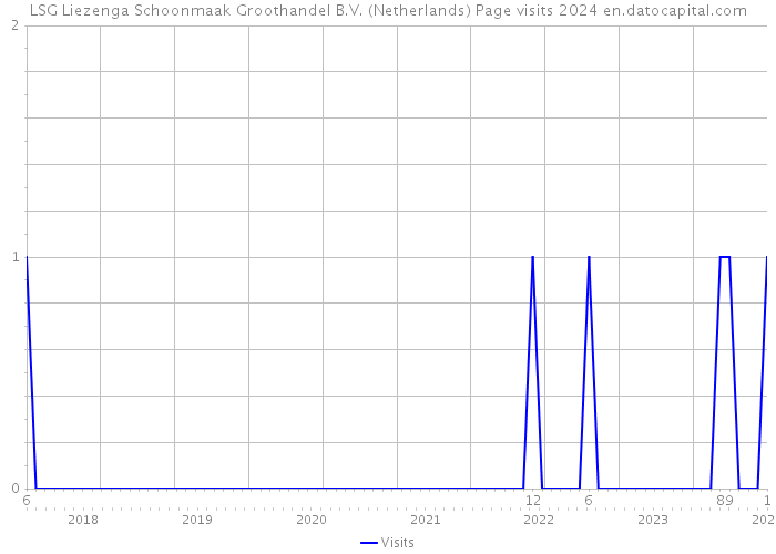 LSG Liezenga Schoonmaak Groothandel B.V. (Netherlands) Page visits 2024 