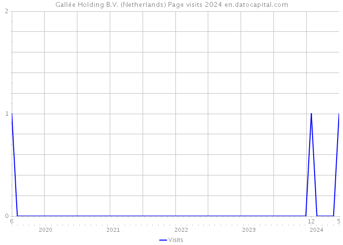 Gallée Holding B.V. (Netherlands) Page visits 2024 