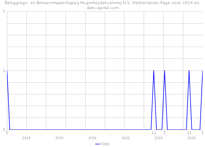 Beleggings- en Beheersmaatschappij Hogerheijdekoelemij N.V. (Netherlands) Page visits 2024 