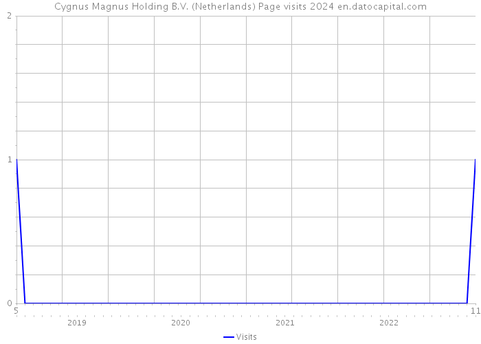 Cygnus Magnus Holding B.V. (Netherlands) Page visits 2024 